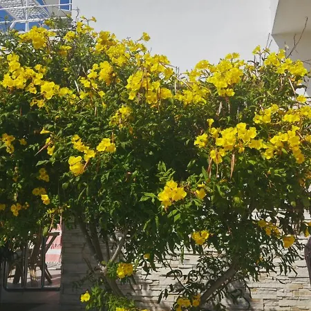 Four Seasons Life 1, With One Bedroom